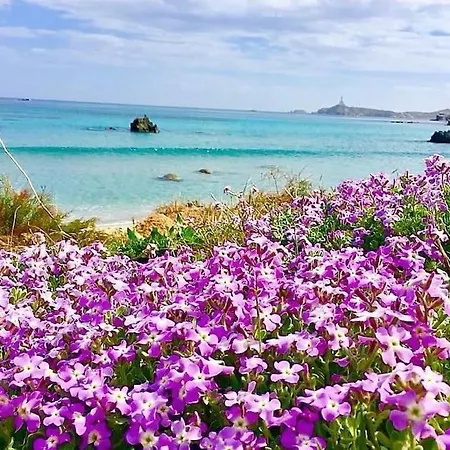 Apartamento Super Terrazza Panoramica 3