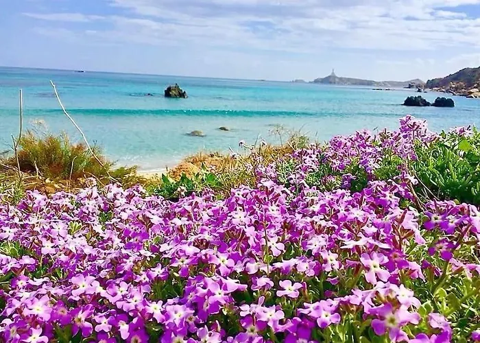 Daire Super Terrazza Panoramica 3